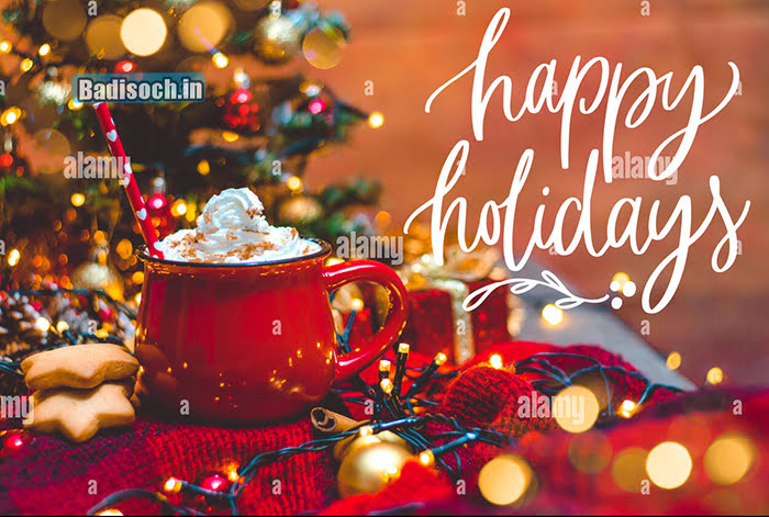 Happy Holidays Quotes