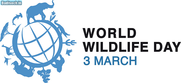 World Wildlife Day (3rd March)