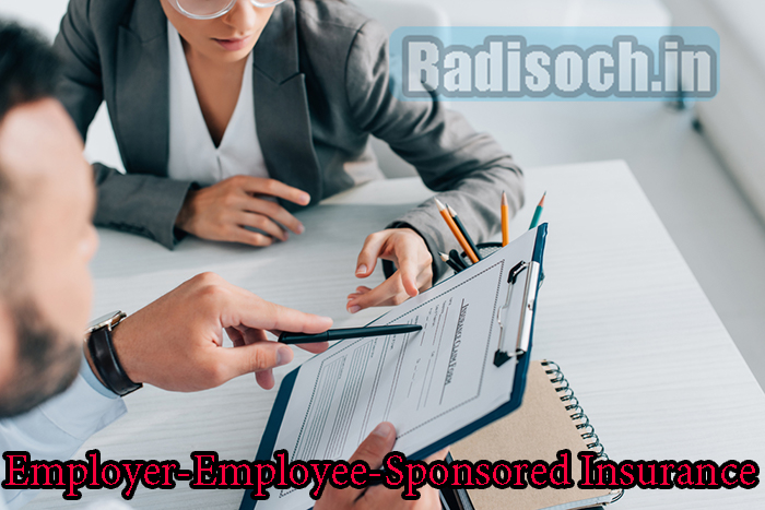 Employer-Employee-Sponsored Insurance