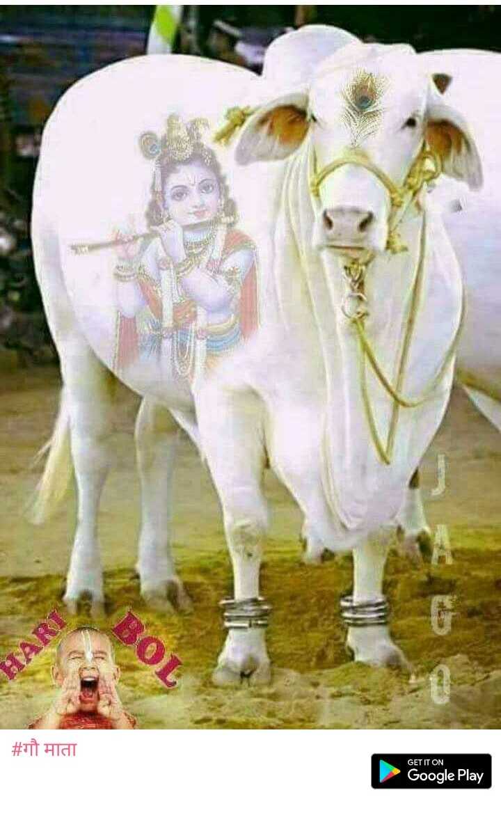 Gau Mata  Why is the Cow Revered in India  Dharmic Verses