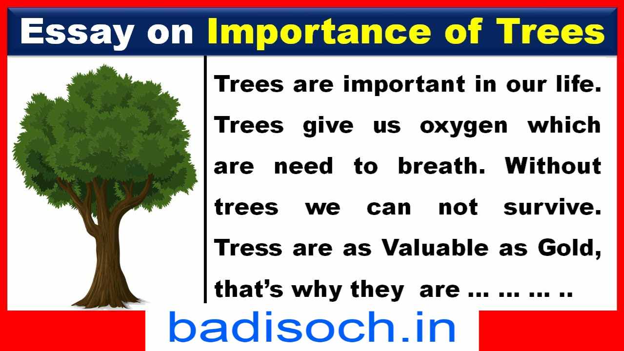importance of tree 