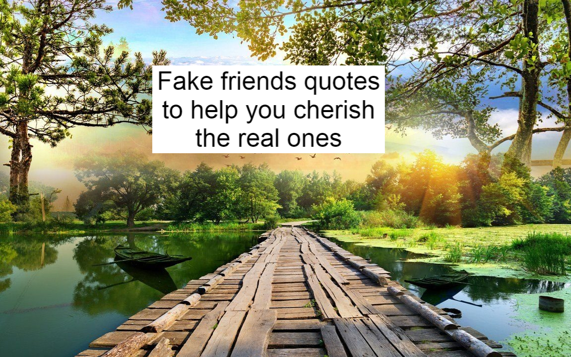 Fake People Quotes