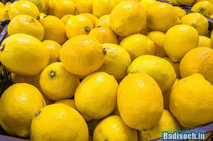 Lemons Quotes