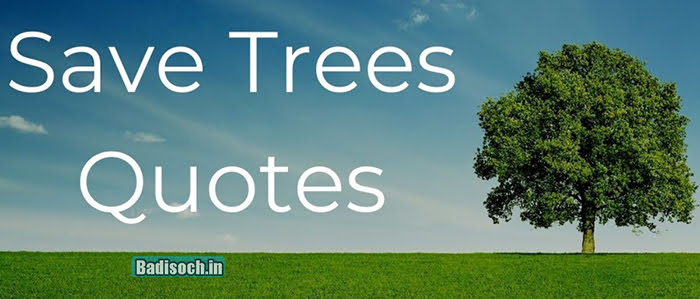 Tree Quotes