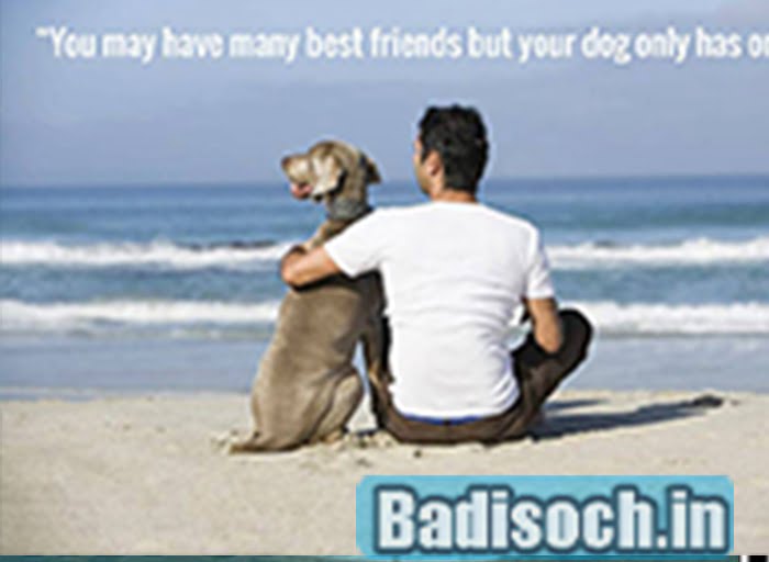 Dog Quotes Honoring Man's Best Friend 2023, Wishes, Messages - बड़ी सोच
