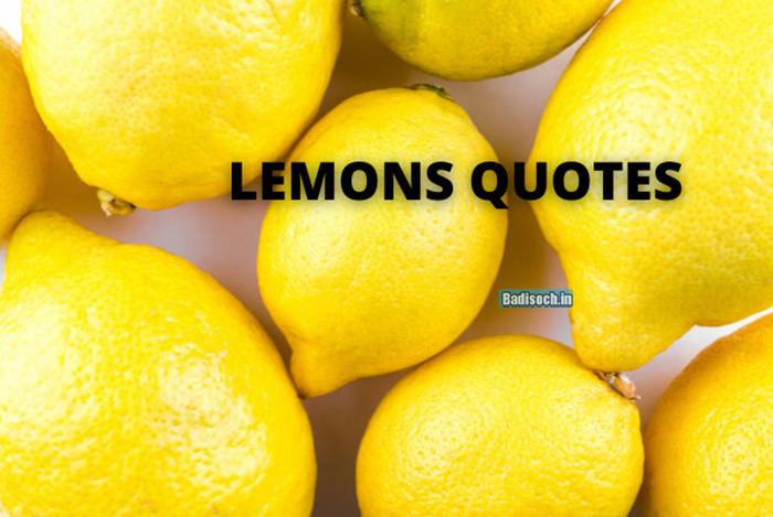 lemons-quotes
