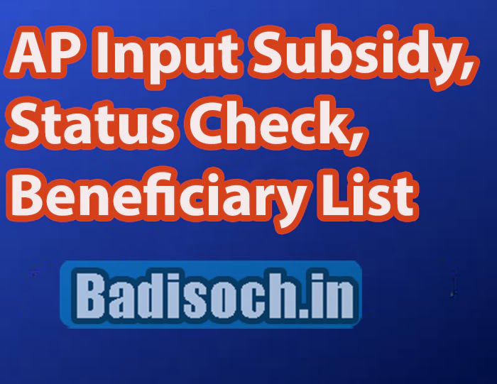 AP Input Subsidy 2024, Status Check, Ben Badisoch