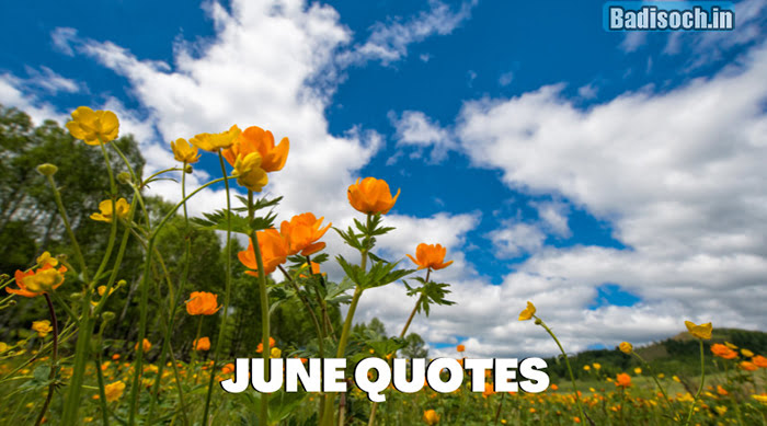 June-Quotes-