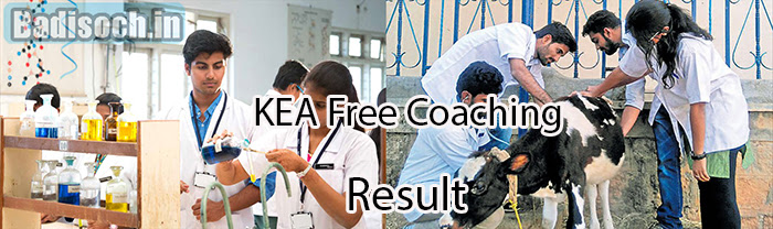 KEA Free Coaching Result 