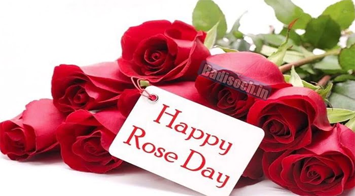 1 Happy Rose Day Wishes 
