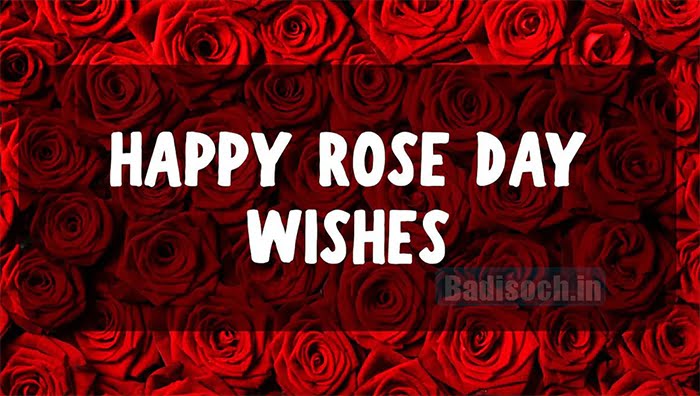 Happy Rose Day Wishes 