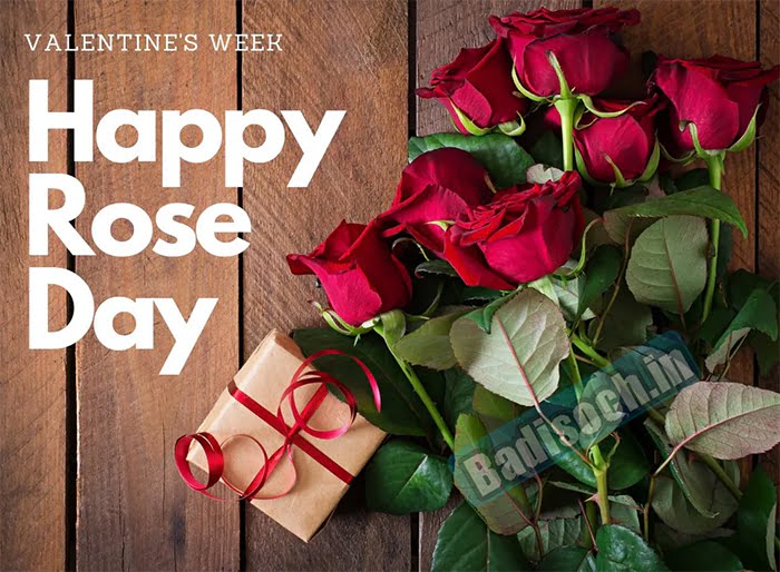 3 Happy Rose Day Wishes 