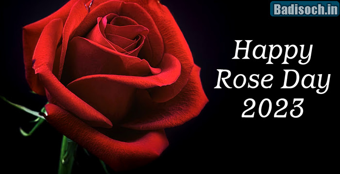 Rose Day 2023 2