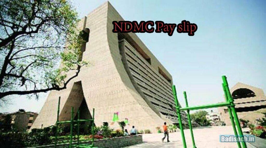 NDMC Pay slip