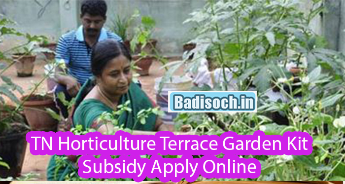 TN Horticulture Terrace Garden Kit Subsidy Apply Online