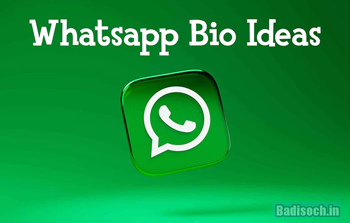 WhatsApp Bio