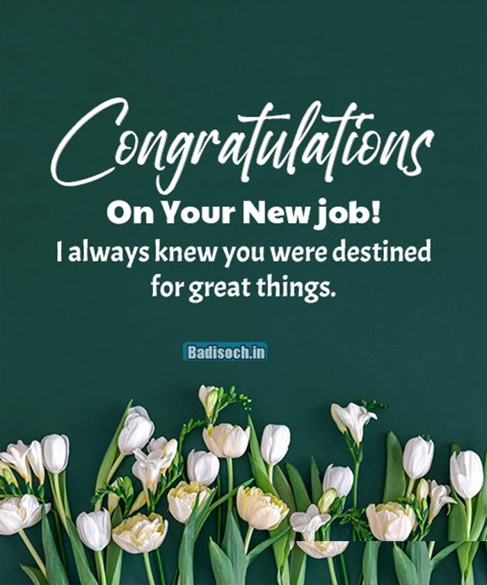 300 Best Wishes For New Job – Congratu - Badisoch