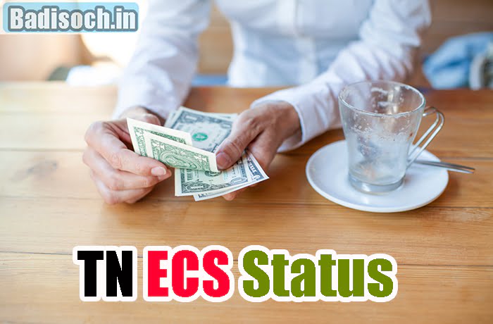  TN ECS Status