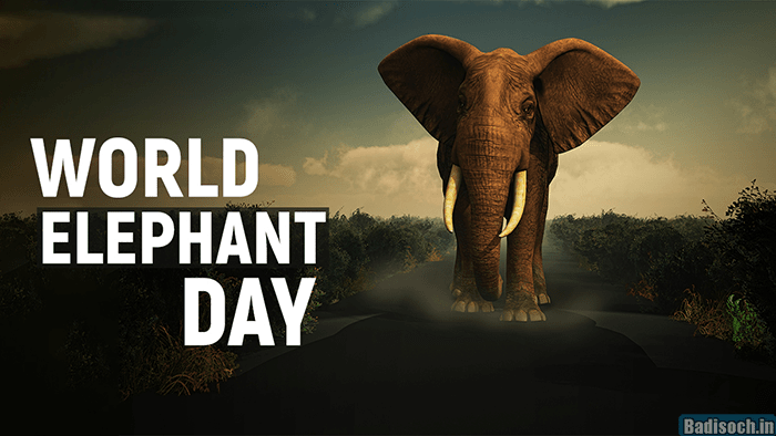 World Elephant Day Quotes
