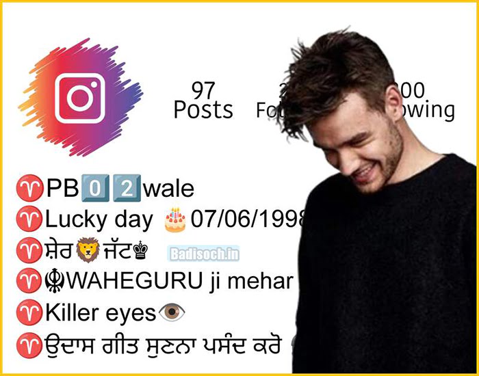 Instagram Bio for Boys in Punjabi