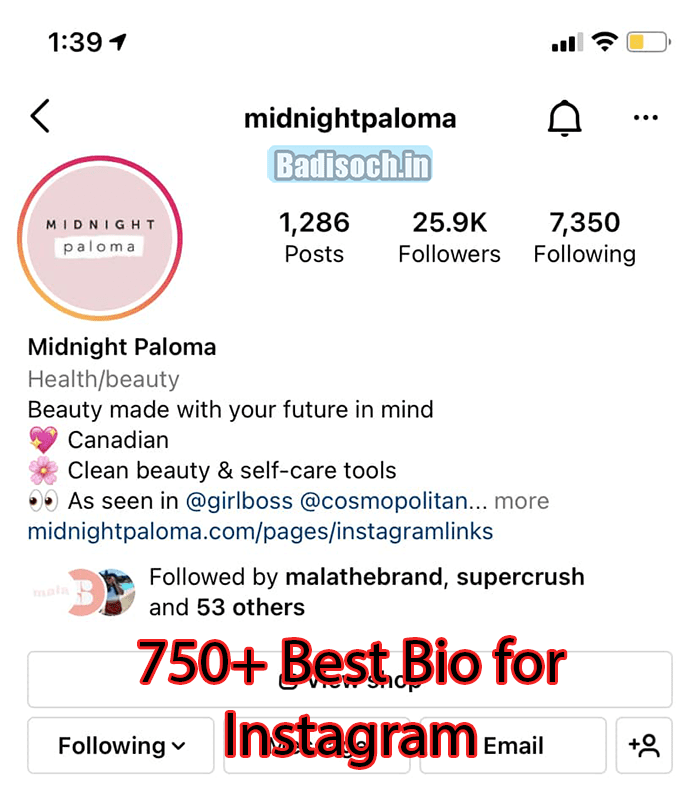 750+ BEST Instagram Bio For Boys - Attitude & Stylish (2024)