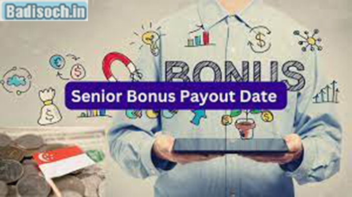 Senior Bonus 2024