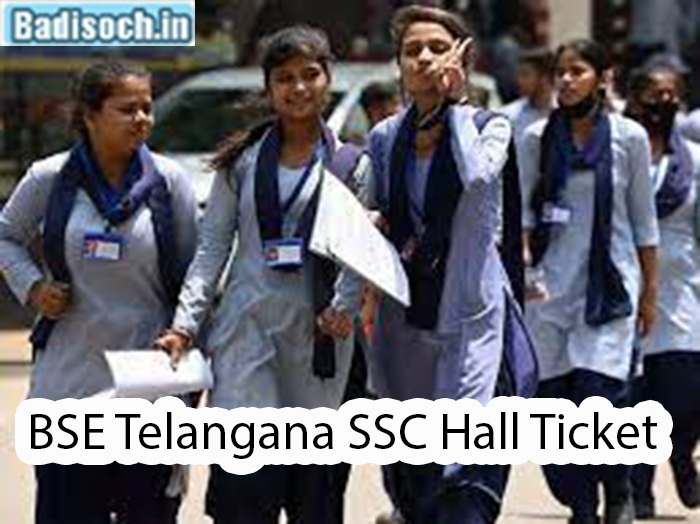 BSE Telangana SSC Hall Ticket 2024